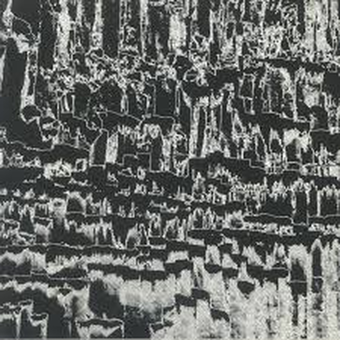 VARIOUS - Pierre Noire