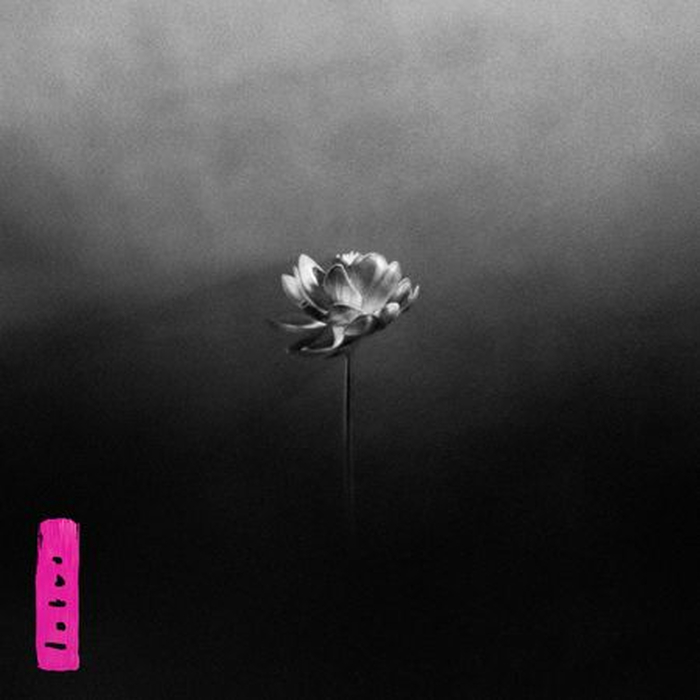 LITTLE SIMZ - Lotus