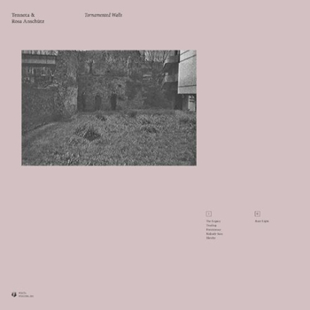 TENNOTA & ROSA ANSCHÜTZ - Tornamented Walls