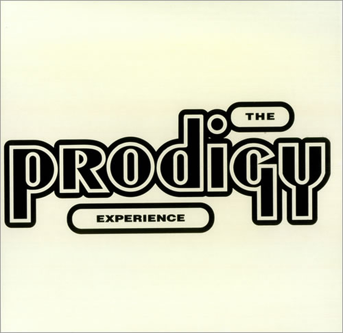 PRODIGY - Experience
