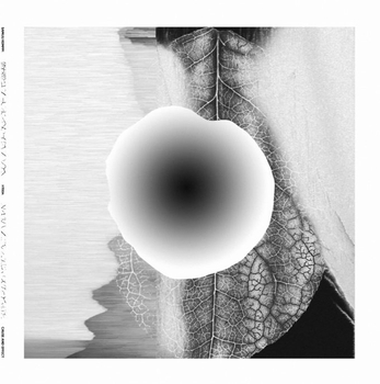 SAMULI KEMPPI - Cause And Effect