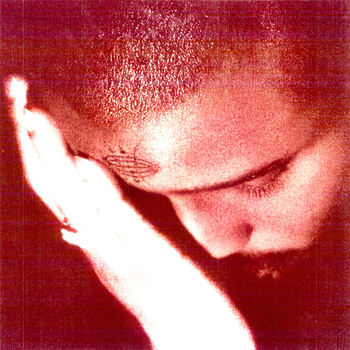 NOURISHED BY TIME - The Passionate ones (clean Vinyl)