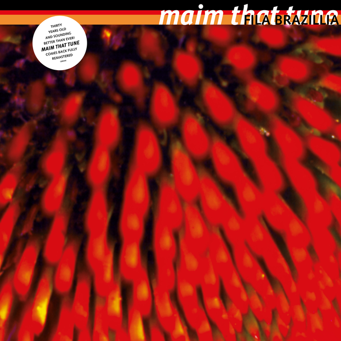 FILA BRAZILLIA - Maim That Tune