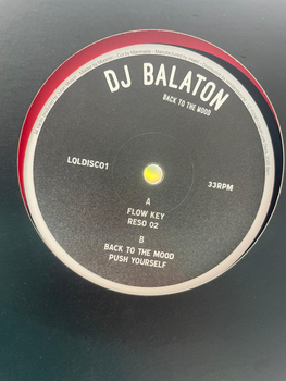 DJ BALATON - Back To The Mood