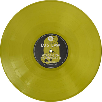 DJ STEAW - Holding On