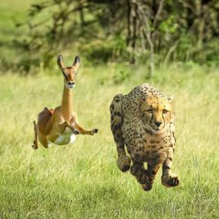 THUNDERCAT & TAME IMPALA - No More Lies