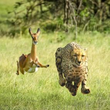 THUNDERCAT & TAME IMPALA - No More Lies