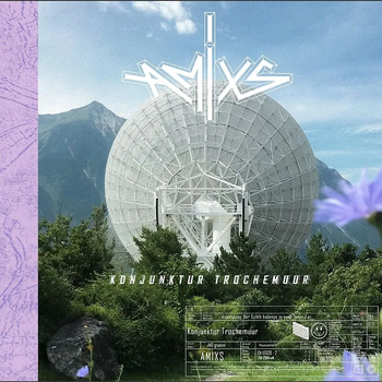 AMIXS - Konjunktur Trochemuur