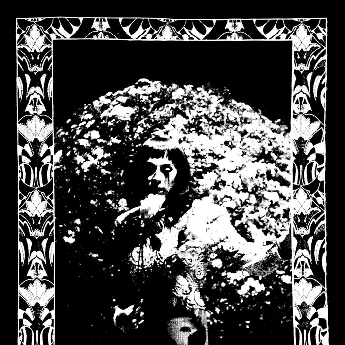 CINDY LEE - Model Express