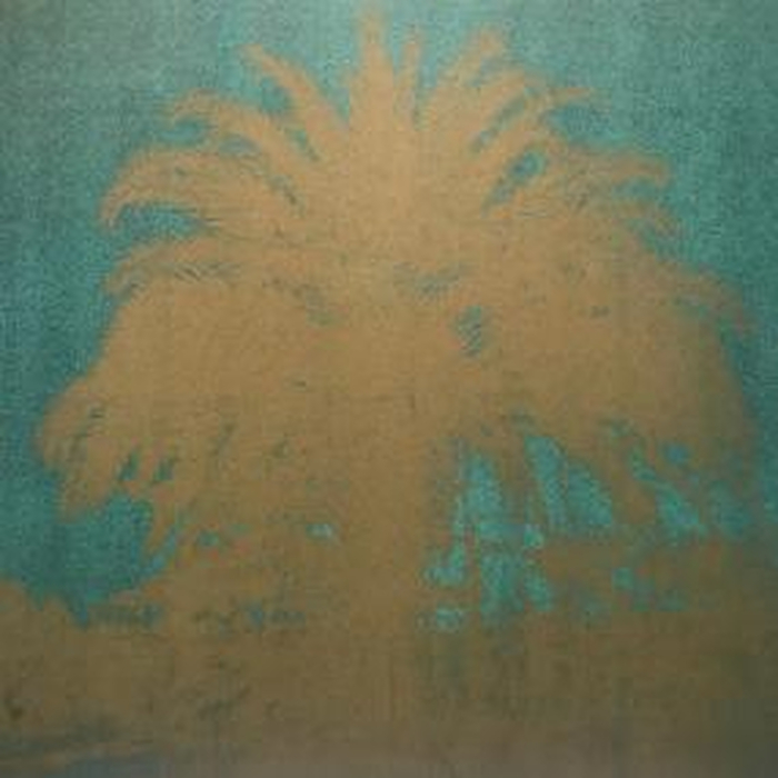 VIOLA KLEIN - New Chapter