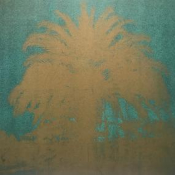 VIOLA KLEIN - New Chapter