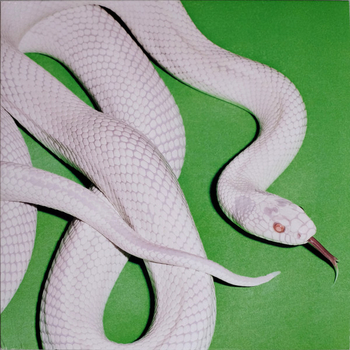 DEFTONES - Private Music