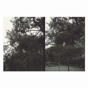 OKKYUNG LEE - Just Like Any Other Day