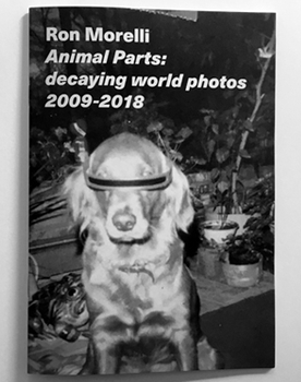 RON MORELLI - Animal Parts: decaying world photos 2009 -...
