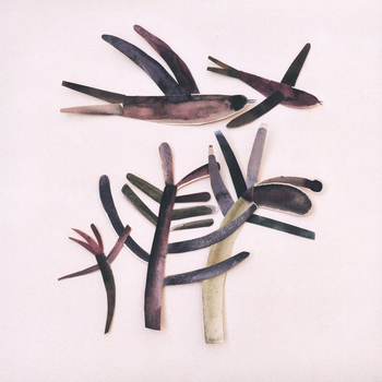 ANTON ANISHCHANKA - Krope