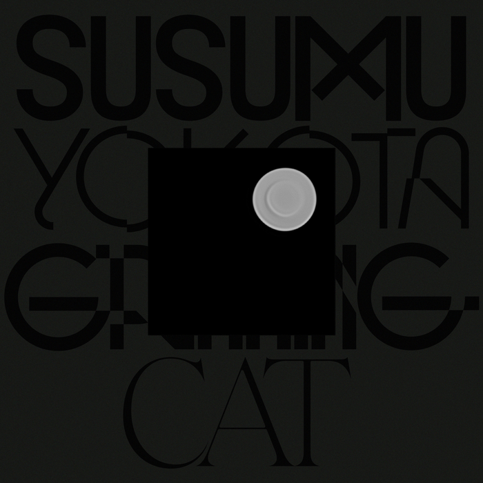 SUSUMU YOKOTA - Grinning Cat