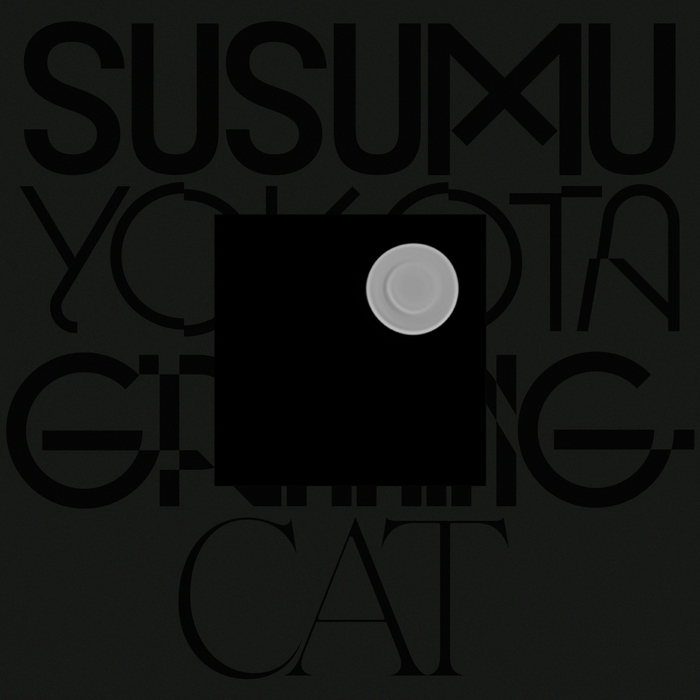 SUSUMU YOKOTA - Grinning Cat