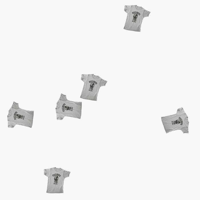 BARBARA SIGNER - Beams Boy