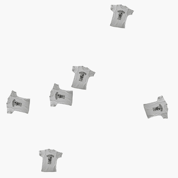 BARBARA SIGNER - Beams Boy