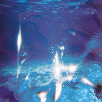 FABIANO DO NASCIMENTO & E RUSCHA V - Aqu�ticos