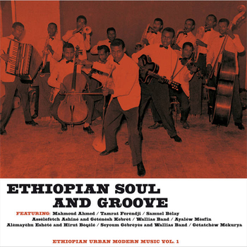 VARIOUS - Ethiopian Soul And Groove Vol. 1