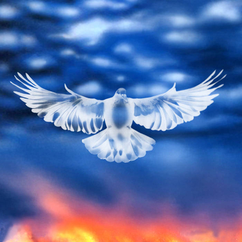 FALTYDL &ndash; Mission Barnhus