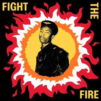 VARIOUS - Fight The Fire: Digital Reggae Conscious