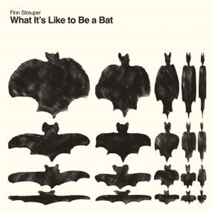 FINN STREUPER - What It&rsquo;S Like To Be A Bat
