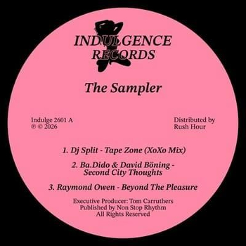 VARIOUS - Indulgence Records: The Sampler