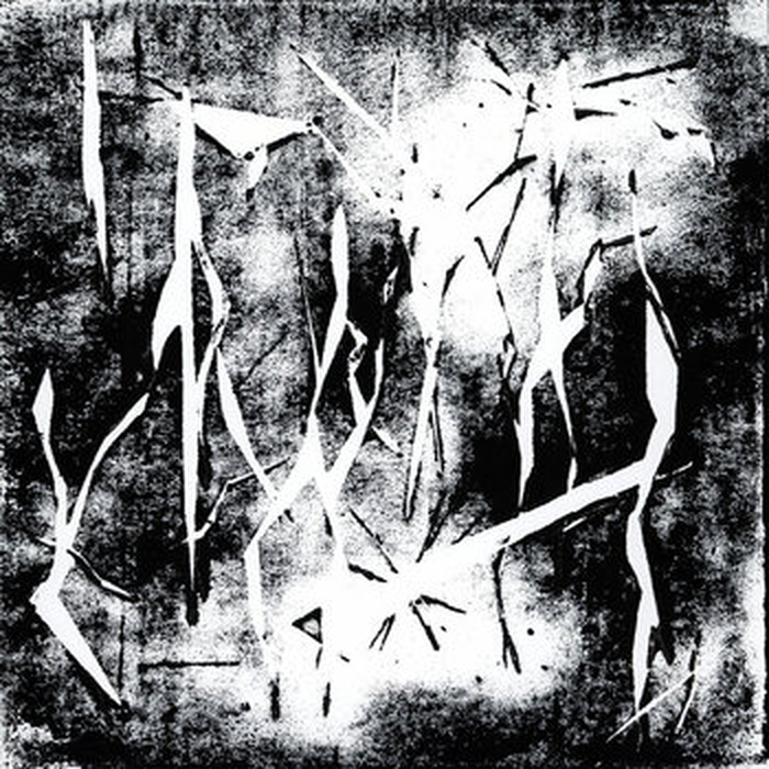 SILVAN NICCA - A Map Of Empty Places
