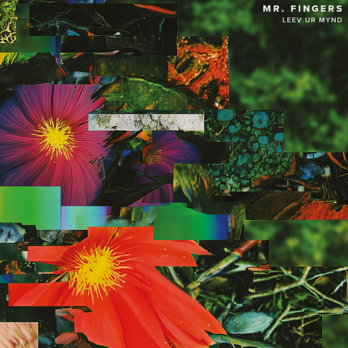 MR. FINGERS - Leev Ur Mynd