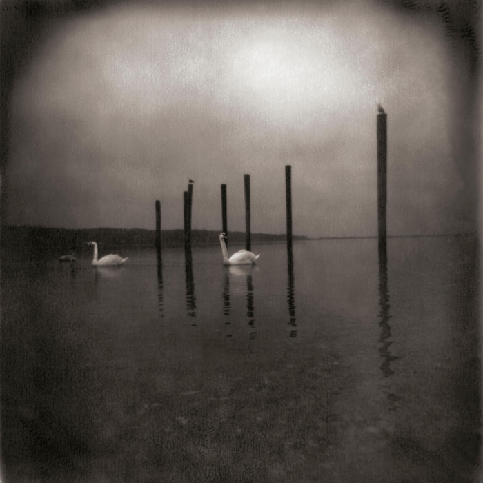 OM - Conference Of The Birds