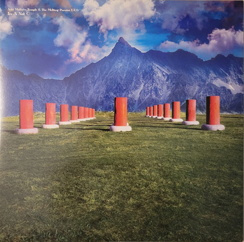 ACID MOTHERS TEMPLE & THE MELTING PARAISO U.F.O. - In A...