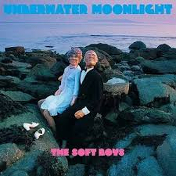 THE SOFT BOYS - Underwater Moonlight